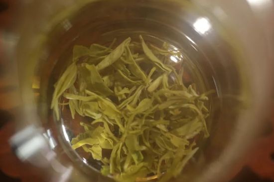 碧螺春正確泡法和飲用，碧螺春茶泡茶方法與溫度