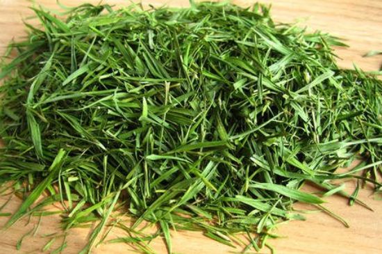 哪類(lèi)人不適合喝石竹茶，石竹茶的功效與禁忌