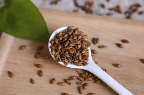 大麥茶上火嗎，喝大麥茶會不會上火？