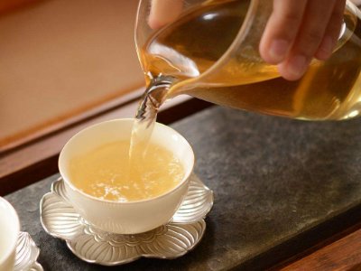 茶葉的專業(yè)知識，關于茶的基本知識大全