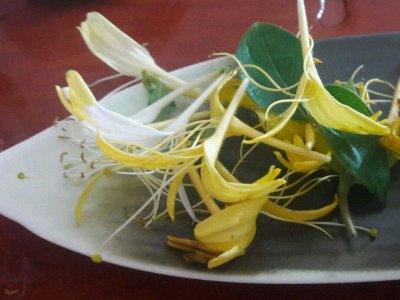 喝茶治口臭嗎，什么茶治口臭好？