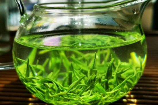 喝黃金茶禁忌，什么人不能喝黃金芽茶？