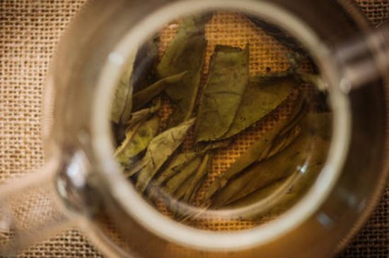 苦丁茶副作用，苦丁可以經(jīng)常喝嗎？