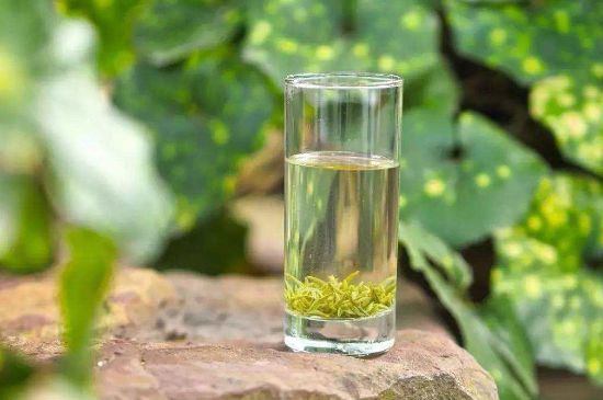 碧螺春沖泡三要素，碧螺春怎么泡才正確？