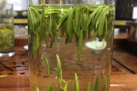 雀舌茶的副作用，雀舌茶什么人不能喝？