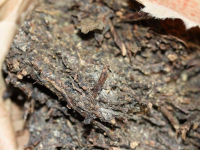 長期飲用黑茶的副作用，黑茶的功效與作用