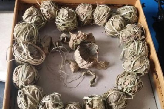 鷓鴣茶用拆開(kāi)泡嗎，鷓鴣茶要解開(kāi)繩子泡嗎