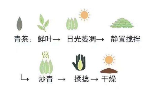 茶葉名稱(chēng)大全和圖片，茶葉名字大全三四個(gè)字！