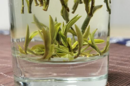 黃山毛峰怎么沖泡，黃山毛峰要多少溫度的水泡？