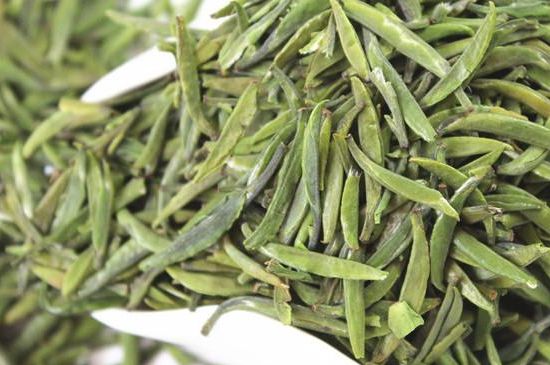 雀舌茶什么人不能喝，雀舌茶的功效與禁忌