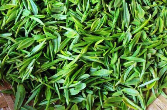 云霧綠茶的功效及禁忌，哪些人不適合喝云霧茶