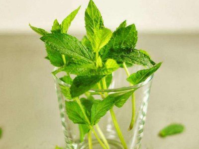 喝茶治口臭嗎，什么茶治口臭好？