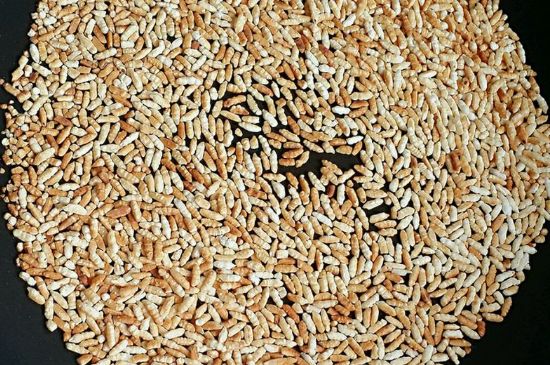 玄米茶是紅茶嗎，玄米茶怎么喝