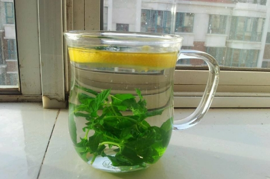 薄荷茶的功效與作用，喝薄荷茶有什么好處？