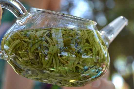 新手學(xué)泡茶的基本常識(shí)，從零開(kāi)始學(xué)泡茶