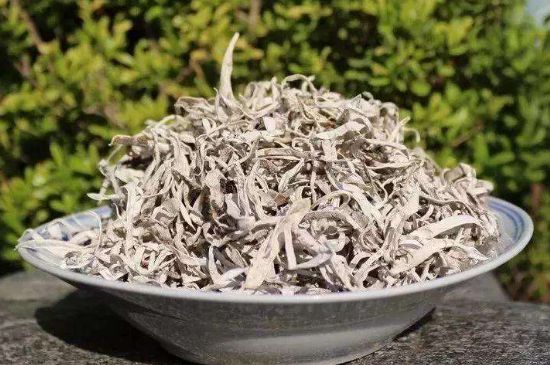 麗江雪茶的功效與作用，白雪茶有什么功效和作用