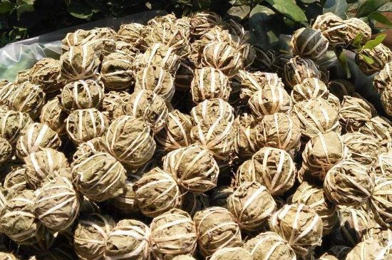 鷓鴣茶的禁忌，海南鷓鴣茶副作用