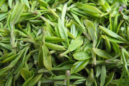 世界最貴的茶葉排行榜，十大最貴的茶