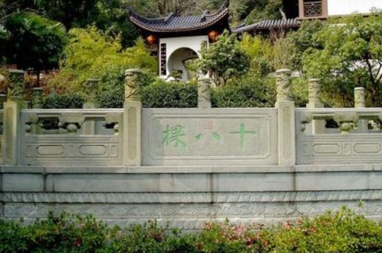 世界最貴的茶葉排行榜，十大最貴的茶