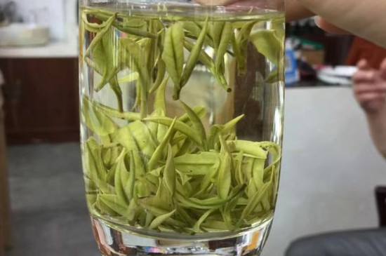 茶葉過期5年了但沒開封，茶葉放久了能喝嗎