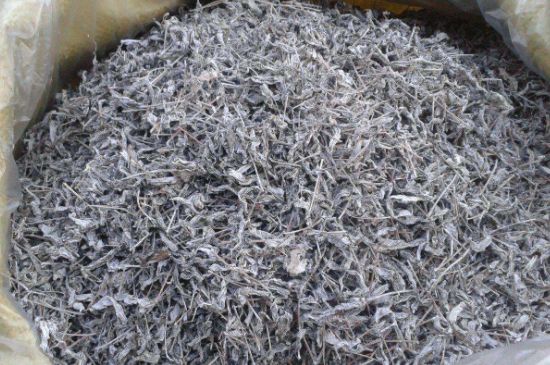 怎樣辨別莓茶發(fā)霉了，莓茶發(fā)霉和白霜的區(qū)別