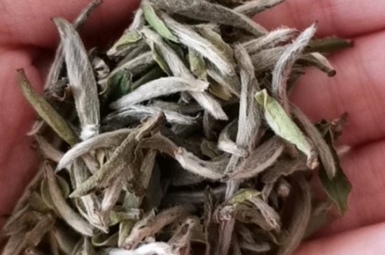 如何買茶葉不上當，怎么買茶葉不被坑？