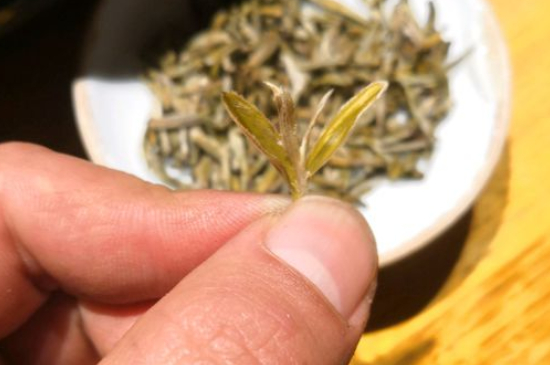 六大茶類哪種適合長(zhǎng)期存放，日常如何保存方法一覽？