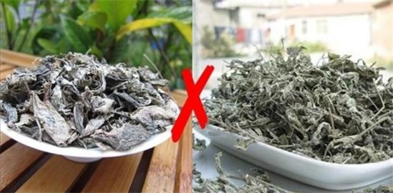 張家界茅巖莓茶與藤茶是同一種茶嗎，藤茶跟莓茶一不一樣？