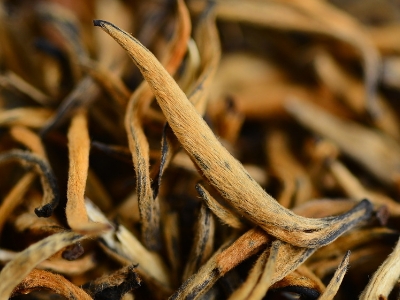 怎么知道什么茶葉適合自己，怎么判斷自己適合喝什么茶？