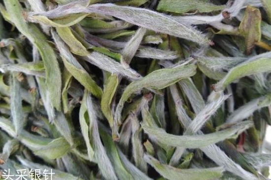 春茶季怎么辨別白毫銀針的好壞，好的白毫銀針如何選購(gòu)？