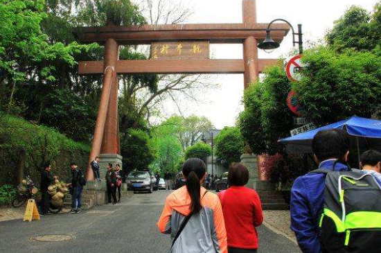 杭州買龍井茶攻略，怎么買到正宗的西湖龍井？