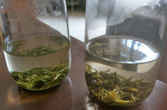 真假碧螺春泡水后區(qū)別，蘇州洞庭碧螺春怎樣鑒別好壞？