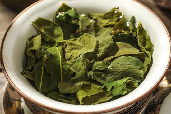 陳茶還是新茶好，茶葉是新茶好喝還是陳茶好喝