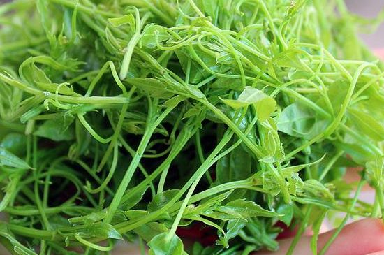 茅巖莓茶保質(zhì)期有多久，張家界莓茶存放時間長了還能喝嗎？