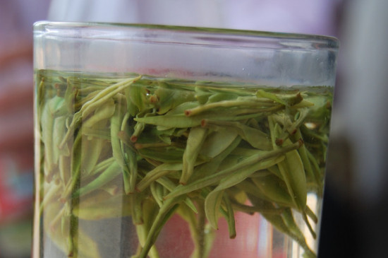 白茶的年份是怎么區(qū)分，如何辨別白茶年份