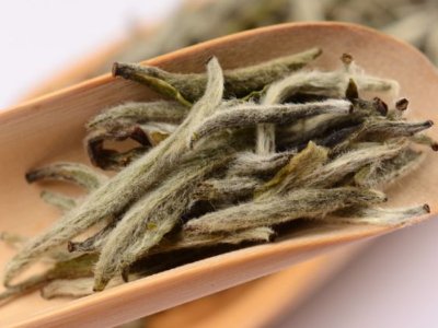 白毫銀針?lè)艓啄曜詈?，白毫銀針什么年份最好？