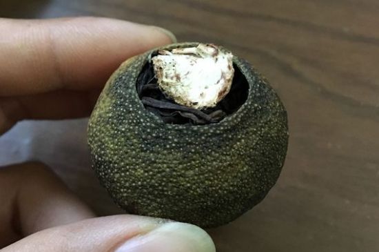 怎么知道小青柑是真的假的圖片，如何區(qū)分真假新會小青柑