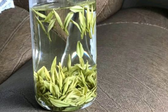 安吉白茶夏天怎么保存，安吉白茶能冷凍儲(chǔ)存嗎？