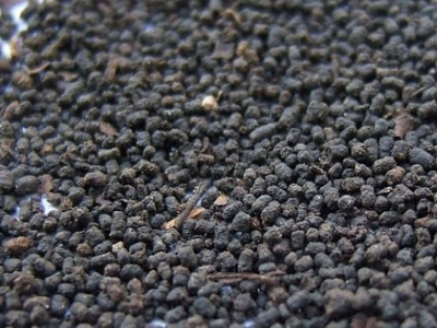 圓形顆粒狀茶是什么茶，像飼料一樣一粒粒的是什么茶？