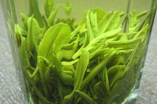 哪種茶葉可以放冰箱，哪些茶不能放冰箱？