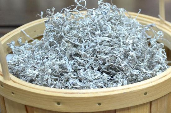 張家界莓茶真假對比，野生莓茶的鑒別方法