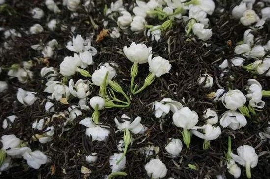 茉莉龍珠怎么做的，茉莉龍珠的制作工藝