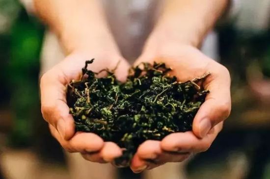 茶葉怎么炒制才香，怎樣炒茶葉更香？