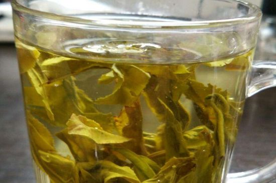 茉莉龍珠可以和什么一起泡茶，茉莉龍珠茶能加蜂蜜嗎？