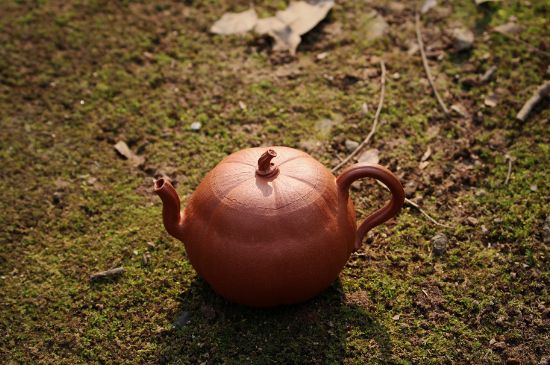 紫砂壺泡什么茶最佳，紫砂壺一般泡什么茶？