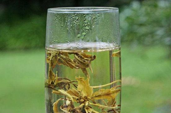 茉莉龍珠什么人不能喝，茉莉龍珠茶什么體質(zhì)不能喝？