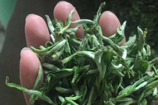 茉莉茶如何制作曬干，自制茉莉茶的做法