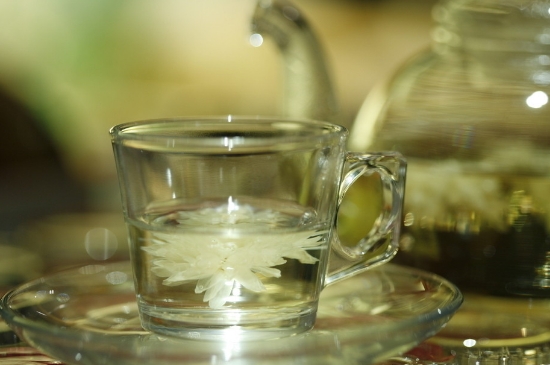 菊花茶天天喝行嗎，每天喝菊花泡茶喝好嗎？