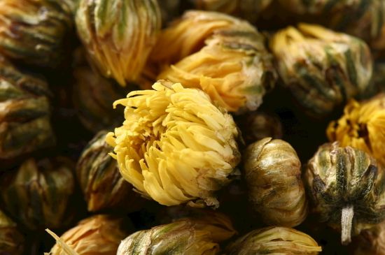 蒲公英搭配大全，蒲公英泡水喝的8種搭配