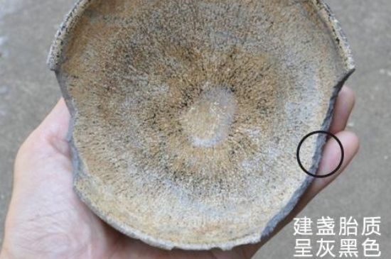 假建盞的特點(diǎn)，真假建盞區(qū)分帶圖